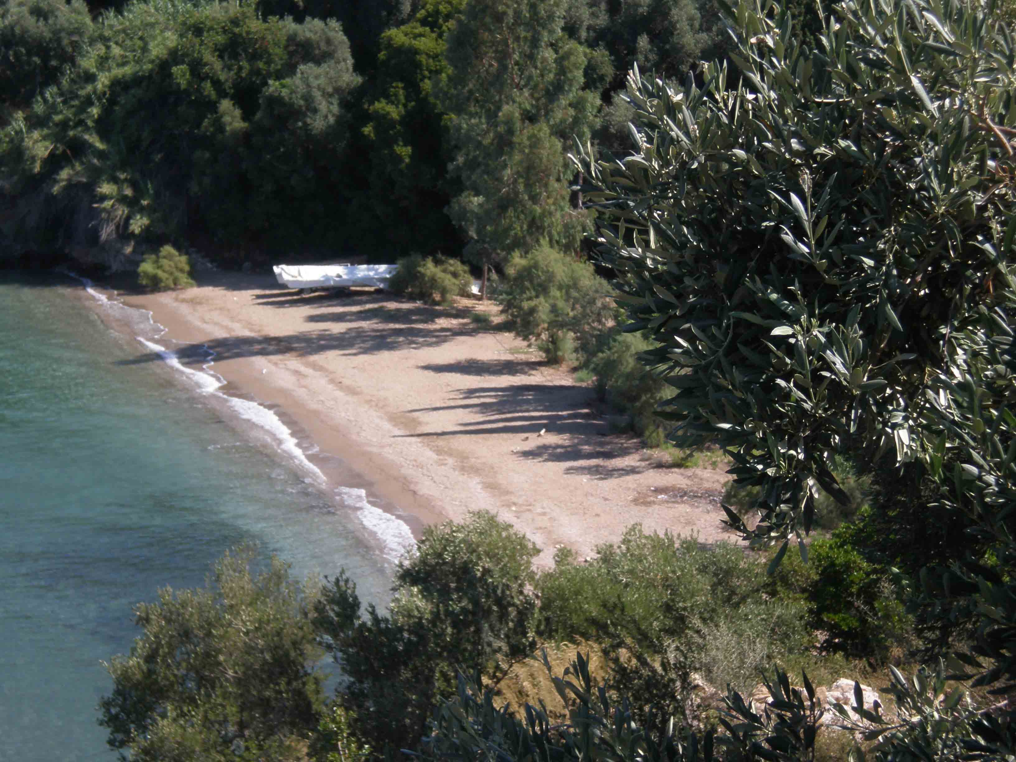 The beach below the house